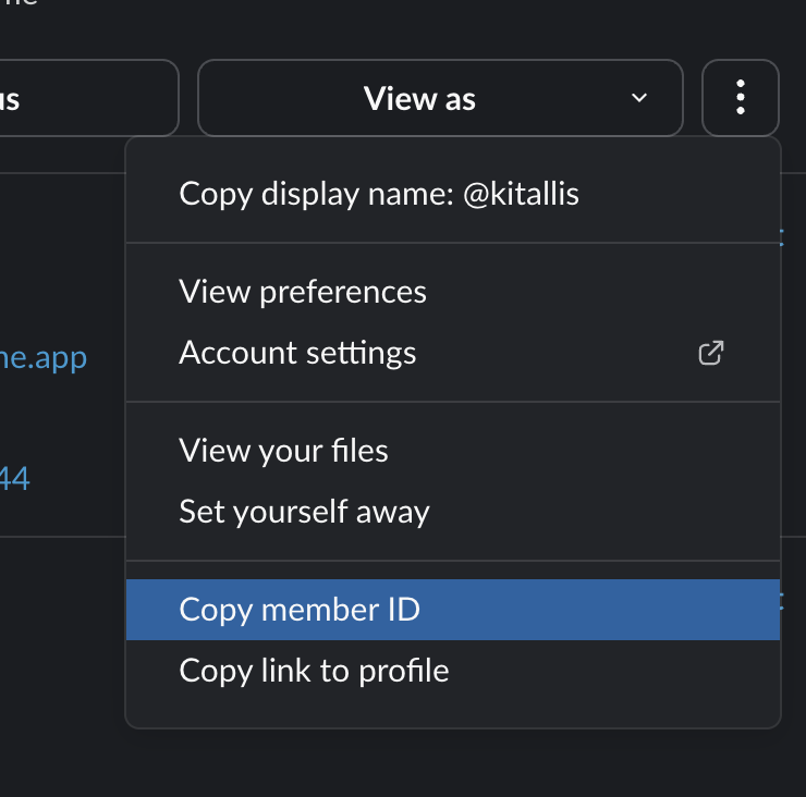 Slack User Copy Member ID
