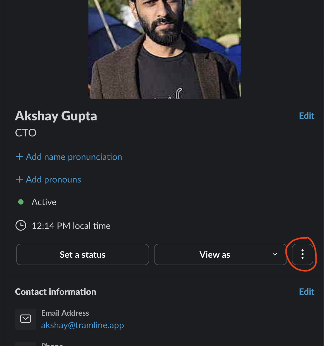 Slack User Profile